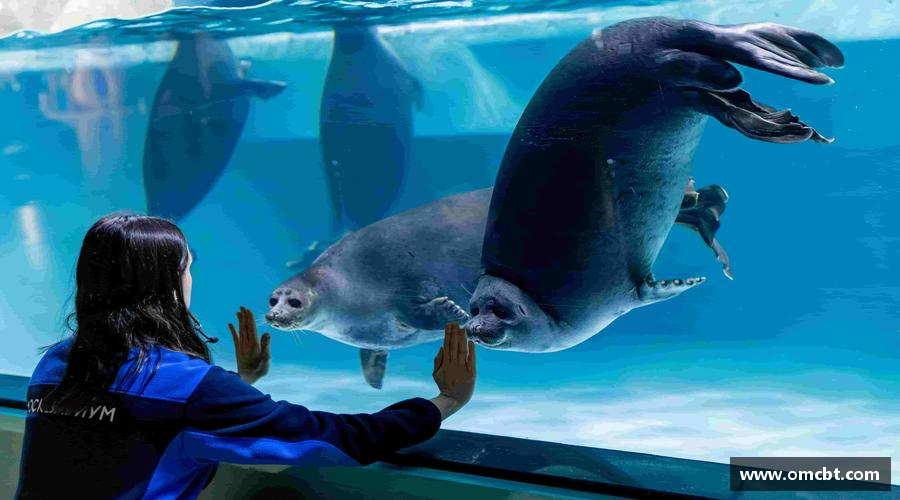 悟空WOKONG SPORTS激情释放，挑战体育